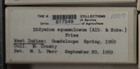 Image Associated With the Occurence